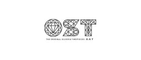lifestyle.accessory.ost.introduction